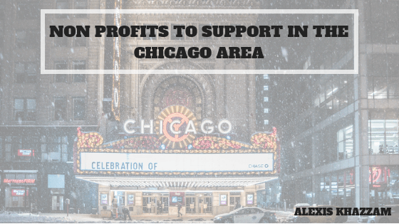 Non Profits to Support in the Chicago Area